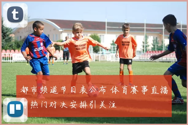 都市频道节目表公布 体育赛事直播与热门对决安排引关注