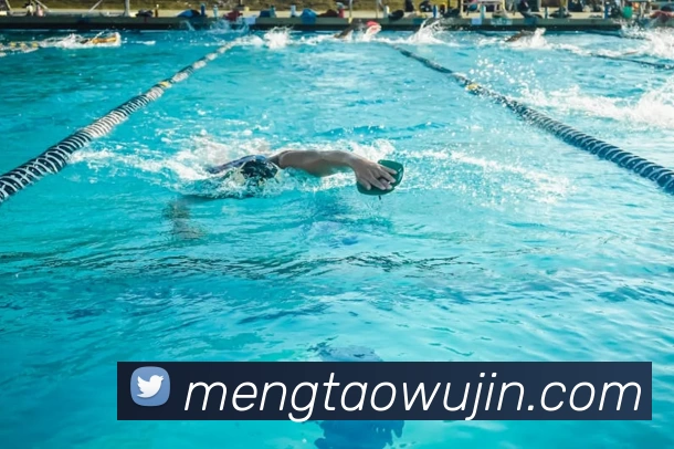 App Interface Preview