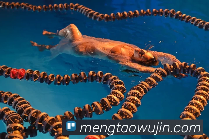 九游官方官网APP 封面图